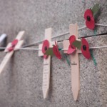 poppies and crosses