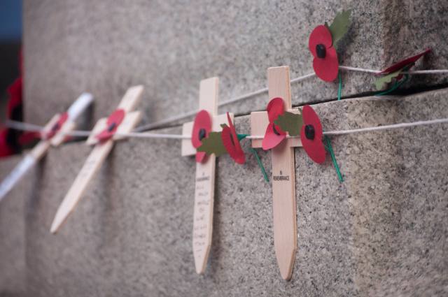poppies and crosses