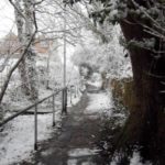 batts-copse-lewishalstead-1