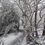 batts-copse-lewishalstead-5