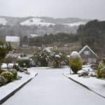 bonchurch-shane-thornton
