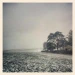 freshwater-bay-kelly-daniel