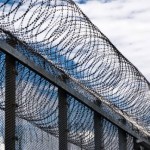Prison fencing