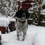 walkies-hilda-jones