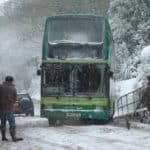 wroxal-bus-anne-rendell