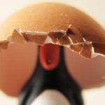Penguin wearing an eggshell hat