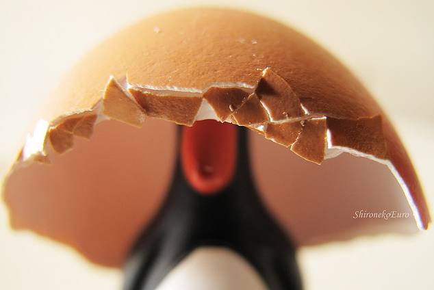 Penguin wearing an eggshell hat
