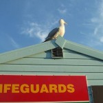 Lifeguard hut: