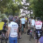 Cyclists in New Forest:
