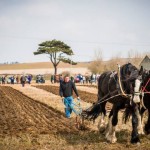 Ploughing match: