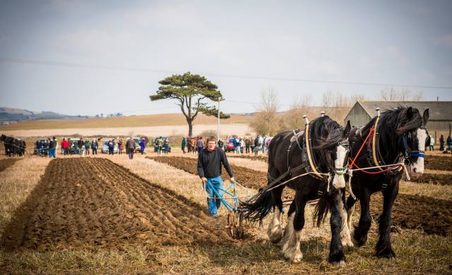 Ploughing match: