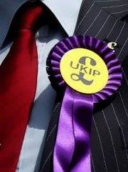 UKIP Rosette: