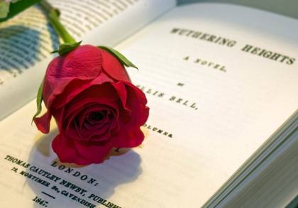 Wuthering Heights and a rose: