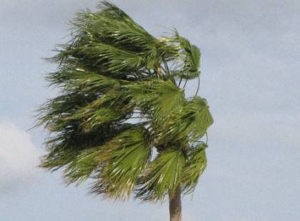 Strong winds: