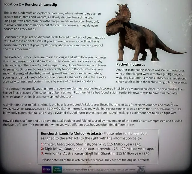 Dinosaur Island App – Bonchurch Landslip – Information sheet