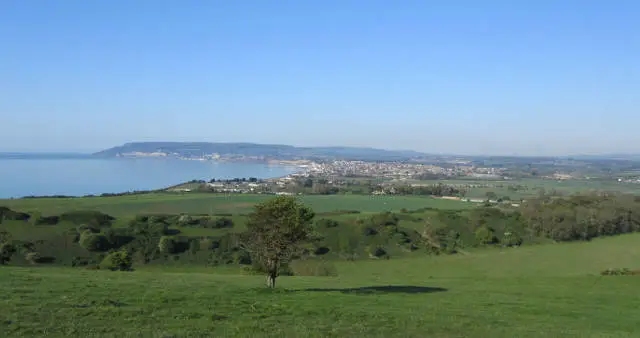 View from Culver Down