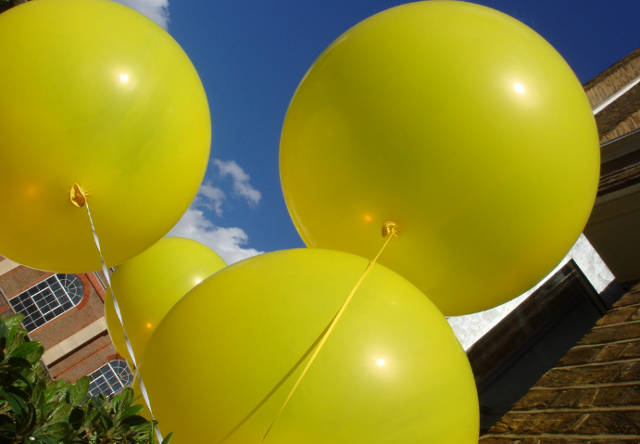 Yellow Balloons by Matt Hutchinson