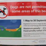Ventnor Beach dog ban