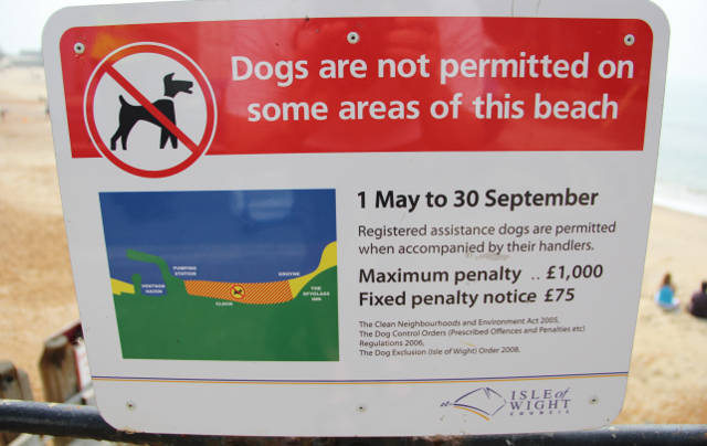 Ventnor Beach dog ban
