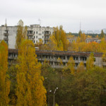 Chernobyl trees
