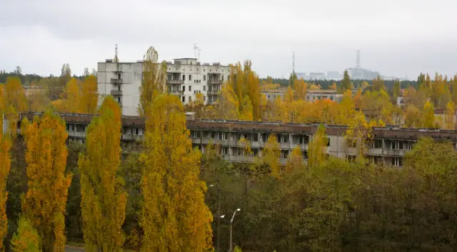 Chernobyl trees
