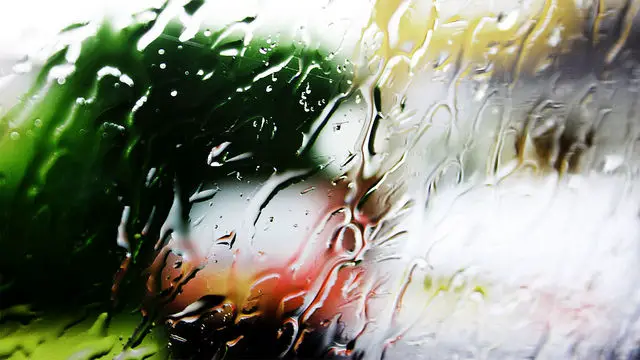 Rain on window :