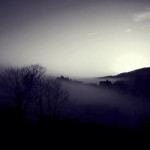 Fog by Bianca Wheeler