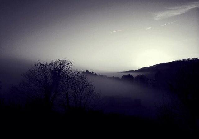 Fog by Bianca Wheeler