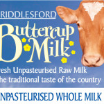 Buttercup Milk - just centre