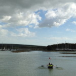 Duck race rowing race