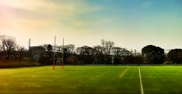 Rugby field: