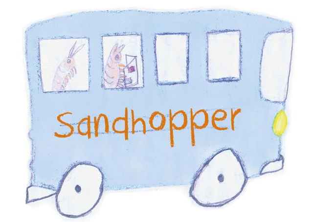 Sandhopper illustration