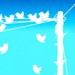 Twitter birds on a phone line by opensourceway