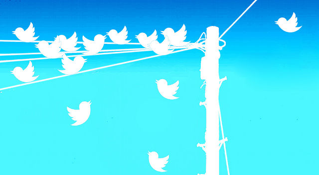 Twitter birds on a phone line by opensourceway