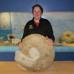 Alex Peake and his giant ammonite: