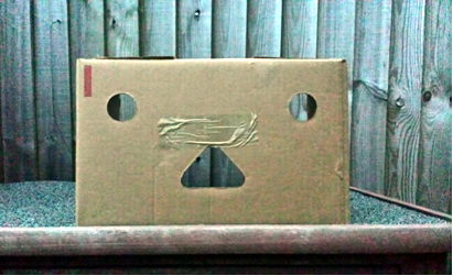 Cardboard box face