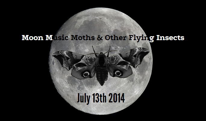 moths and music