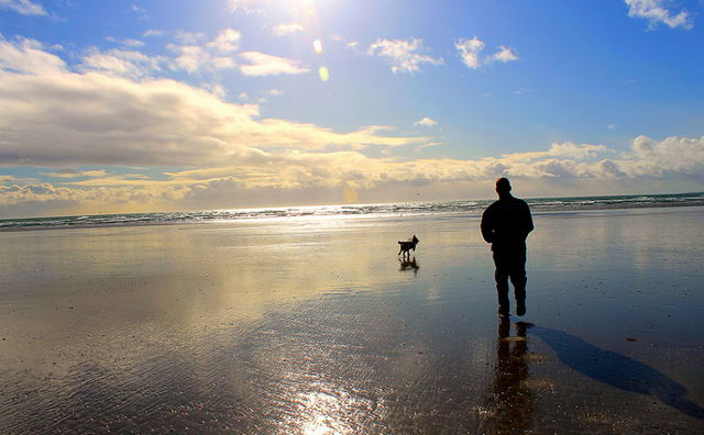 Dog and owner on beach