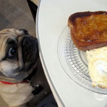 Dog's breakfast :