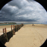 Eye of the wight - way forward exhibition:
