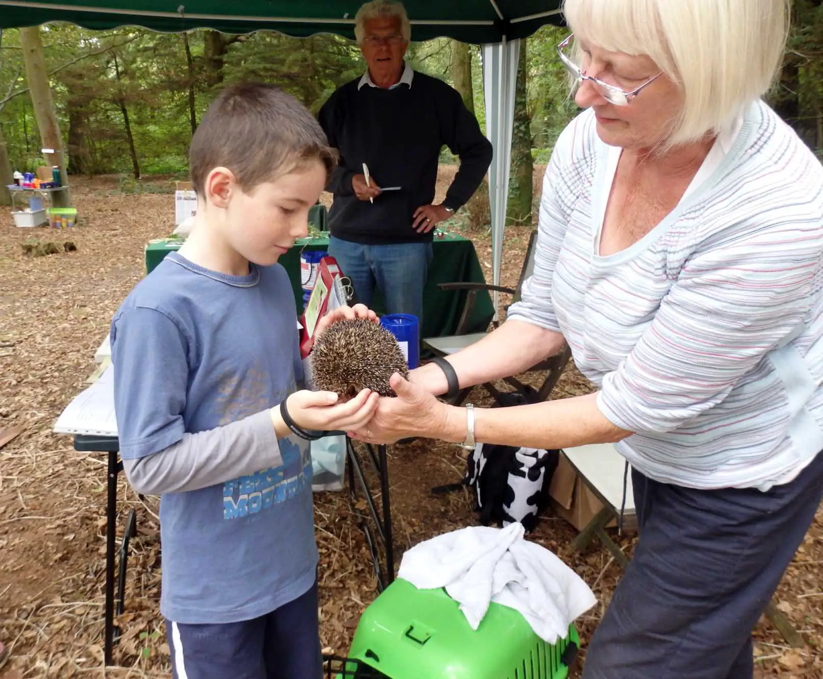 Hedgehog at Red Squirrel Day