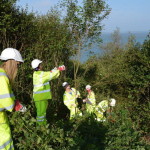 Island Roads volunteers clear viewpoint overgrowth