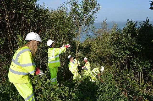 Island Roads volunteers clear viewpoint overgrowth