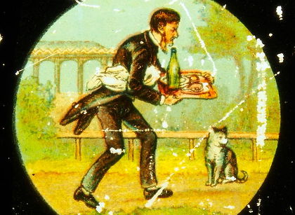 Waiter with the cat 
