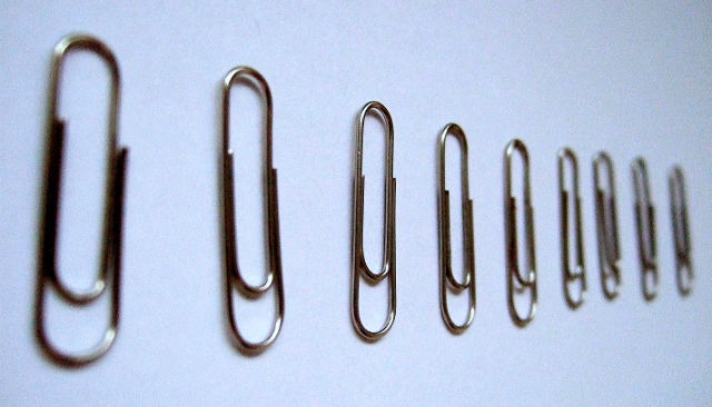 Row of paper clips by davidmasters