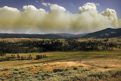 Yellowstone Park Fire :