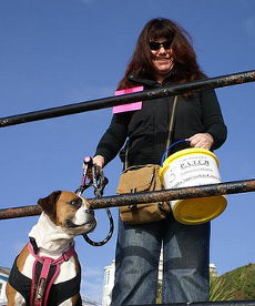Womble Wendy collecting for PATCH boxing Day Swim: