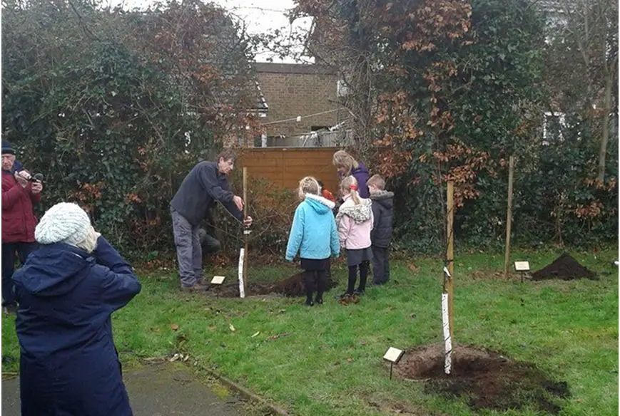 Pupils planting a tree at Lane End Cemetery