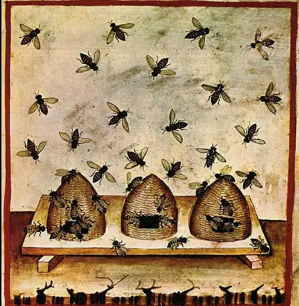 Painting of Bees 