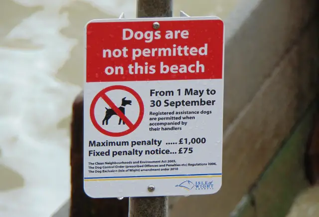 No dogs on colwell beach sign